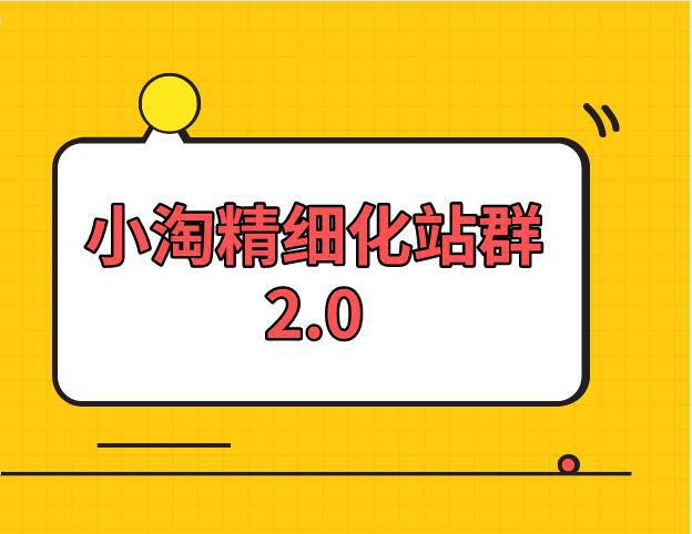 小淘学社：实操精细化网站站群项目【全套视频教程】-猎天资源库