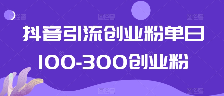 抖音引流创业粉单日100-300创业粉【揭秘】-猎天资源库